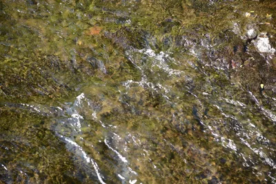 DSC_3522 (Large).JPG